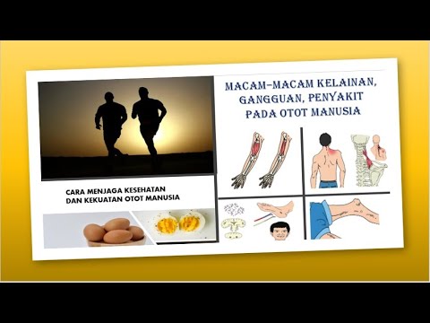 Video: Masalah Hipertrofi Masyarakat Yang Sakit - Pandangan Alternatif