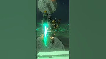 Why is this even in TOTK? #zelda #totk #funny #shorts #2023 #meme