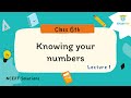 Knowing your Numbers | Ex 1.1 | Class 6 | NCERT | Solutions | CBSE | math | examkey