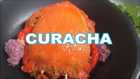 Curacha