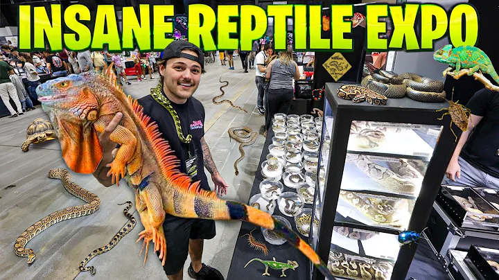Full Walk-Through of Largest Reptile Expo!! thumbnail
