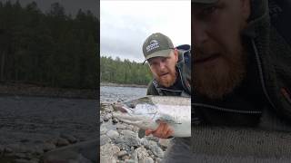 Big Atlantic Salmon 😬🔥🐖 Check out our Channel for more ‼️ #salmon #bigfish #fishing #wedkarstwo