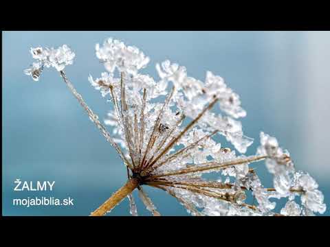 Video: Sú žalmy v chronologickom poradí?