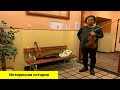 Работа в хостеле - Скрипач Takashi и его 100 - летняя скрипка