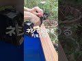 アカミミガメの飼育容器に欠陥が見つかったので改良しました