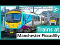 Trains at Manchester Piccadilly 11/09/2021