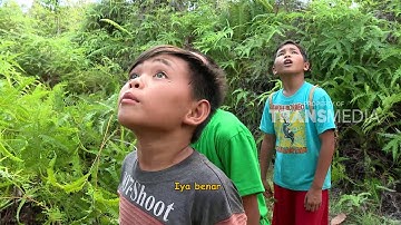 BOCAH PETUALANG | TAMPIHAP & GINTUWUNG DAYAK MAYAN (02/01/18) 1-3
