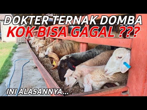 Video: Mengapa peternakan berakhir?