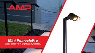 AMP® Mini PinnaclePro Black Path & Area Light (Lamp-Ready)