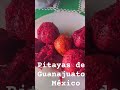 Pitayas de Guanajuato México. Muy ricas