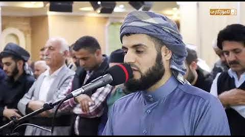 ترتيل هادئ - الشيخ رعد الكردي - ما تيسر من سورة الاحقاف وسورة الطارق