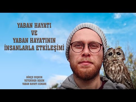 Yaban Hayatı ve Yaban Hayatının İnsanlarla Etkileşimi