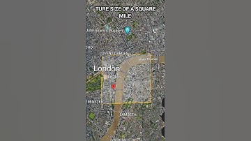 ture size of a  square mile #shorts