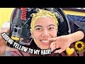 Adding YELLOW To My Hair!💛🌻✨