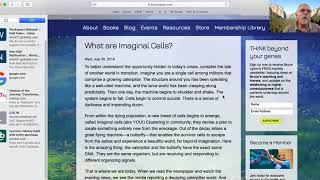 Imaginal Cells Changing Our DNA of Consciousness
