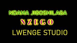 NDAMA JIGOSHILAGA UJUMBE WA NZEGO BY LWENGE STUDIO