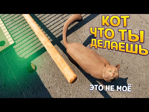 Видео: ЧТО ДЕЛАЕТ ЭТОТ КОТ ( Animal Shelter )