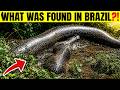 Scientists Just Discovered Something Mysterious in Brazil That Shocked the World