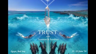 Delfinreise auf dem Roten Meer :: TRUST :: A journey to the core of your Calling