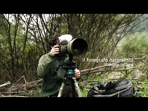 Video: Come sono apparse le più rare porcellane 