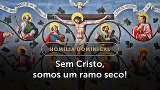 Homilia Dominical | Como seremos os ramos da videira de Cristo? (5º Domingo da Páscoa)