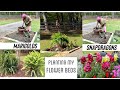 Planting my flower bedsspring flowers
