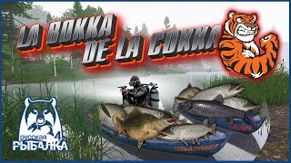 СЕГОДНЯ ЛАЙТОВЫЙ СТРИМ !!!РУССКАЯ РЫБАЛКА/Russian Fishing 4 18+ 