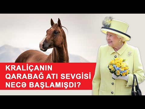 Kraliça II Elizabetin Qarabağ atı sevgisi necə yaranmışdı?