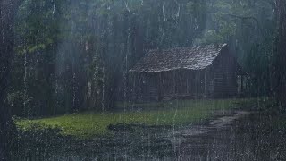 Fall asleep in 3 Minutes with the Sound of Rain & Thunder on the Roof in a Misty Forest - ASMR by Colección De Sonido 3,126 views 4 weeks ago 22 hours
