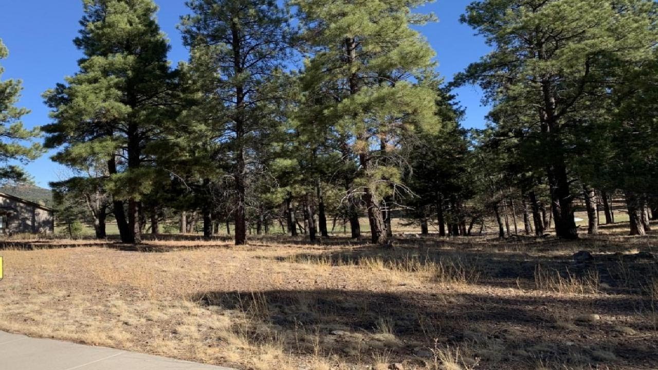 911 S Torrey Pines Drive, Williams, AZ Presented by Katannya Hartwell.