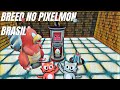 COMO FAZER BREED NO PIXELMON? Pixelmon Brasil