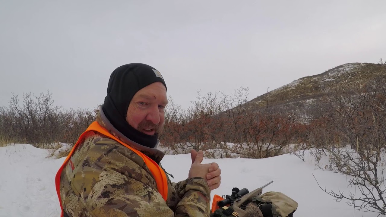Successful 2019 Late Season Cow Elk Utah Public Lands YouTube successful-2019-late-season-cow-elk-utah-public-lands-youtube