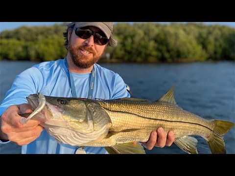 Quick Trick To Catch More Snook Using Paddletails