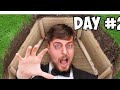Have you watched MrBeast I spent 50 hours buried alive video?