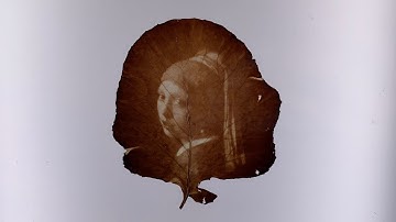 Yoko Shimizu : Vibrant Matter | Bio BAT Inc.