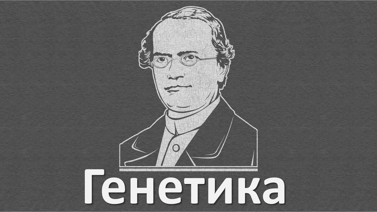 11.1 Генетика - часть I (9 или 10-11 класс) - биология, подготовка к ЕГЭ и ОГЭ 2018