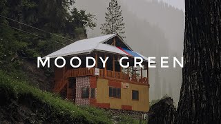 Moody Green Preset | Lightroom Mobile Editing | #lightroomediting #moodygreen #fadedgreen