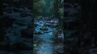 Rain sound in forest for sleeping