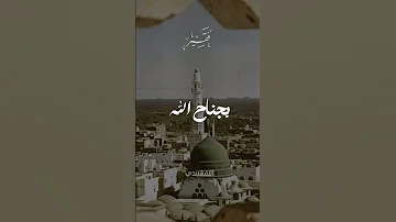 تواريا بجناح الله النقشبندي إبتهالات 