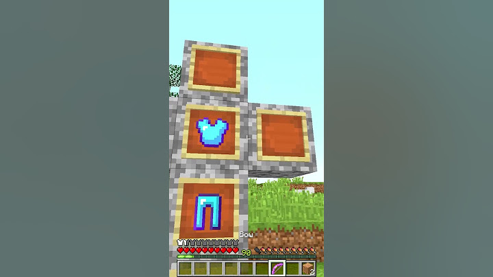 ULTIMO VIDEO DI LYON SU MINECRAFT!!
