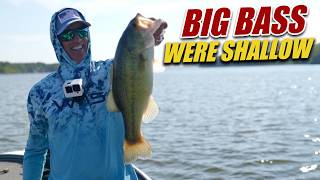 I Caught Giants In 88° Water!