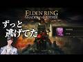 【エルデンリングDLC】俺はやっとこのゲームと向き合う勇気を得た【ELDEN RING SHADOW OF THE ERDTREE】
