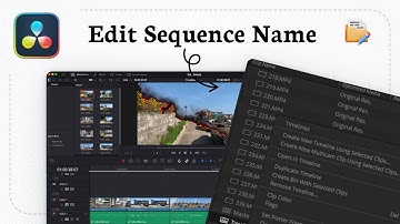 How to rename timeline in DaVinci Resolve (Clip Label)
