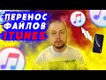 Перенос файлов iTunes | Копируем iPhone на диск D | Самый простой способ