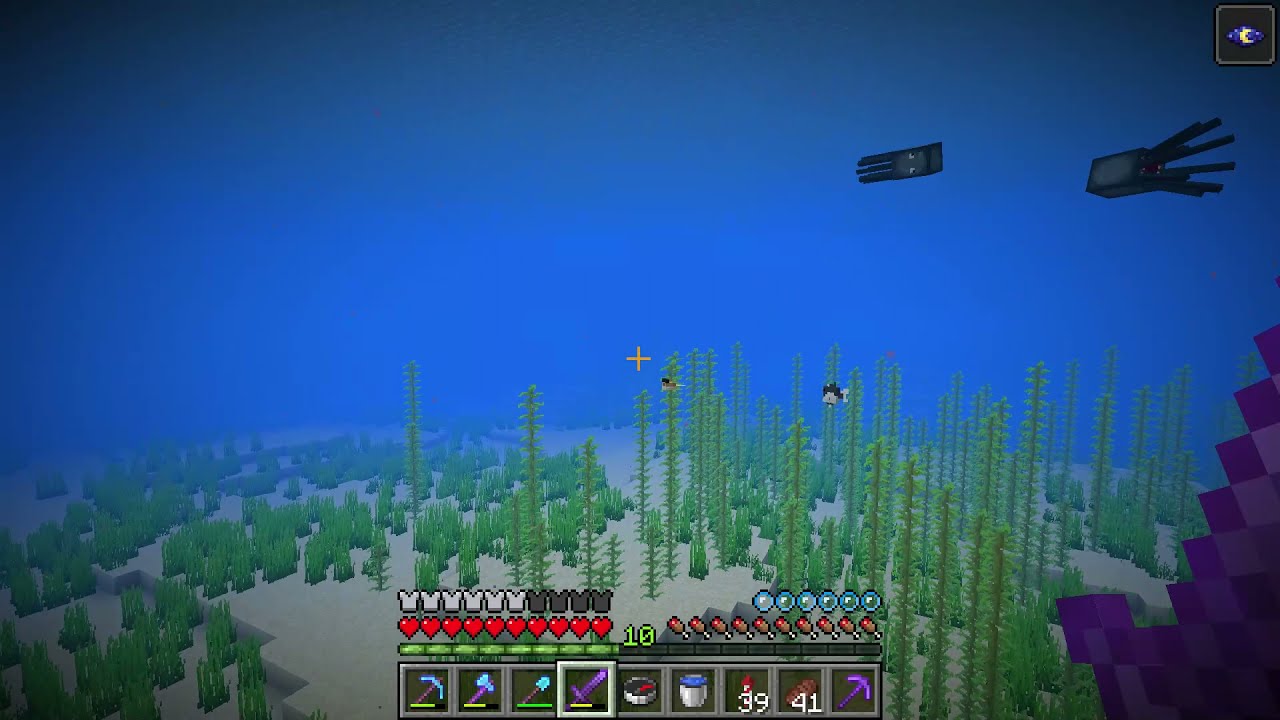 Dolphin made me crash into pufferfish Minecraft YouTube