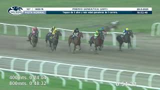 Vidéo de la course PMU PREMIO GENEATICA 2011