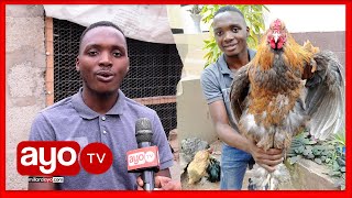 KIJANA ANAYEUZA KUKU WAKE LAKI NANE, AFUNGUKA HAYA 'WAWILI MILIONI 1.5'