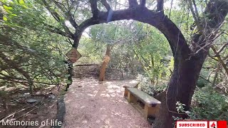 Quinta Mazatlan McAllen Texas | Memories of life | Wasif Jan | #memoriesoflife0104