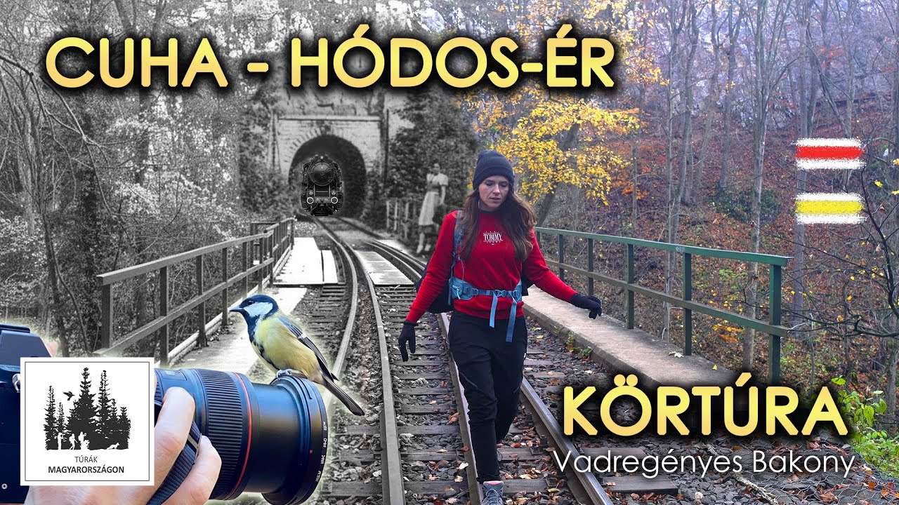 Cuha-völgy - Hódos-ér körtúra, a legszebb vasútvonal születése