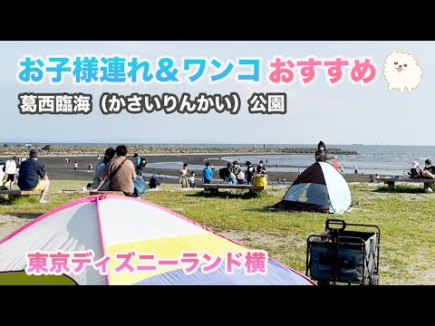 【夫婦と犬の散歩：葛西臨海公園】ディスニーランドにはわんこは入れないので、隣の葛西臨海公園に行ってきました。海と緑が両方楽しめる、賑やかでキレイな公園でした。ワンコ連れにおすすめです。